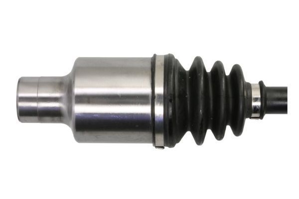 Pusašis PASCAL G28021PC