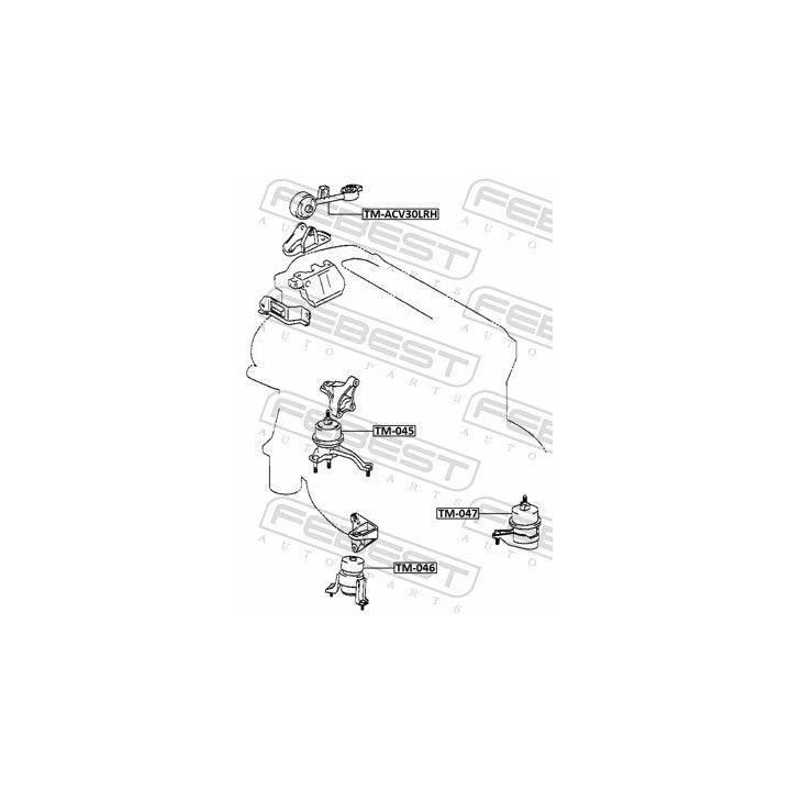 Variklio montavimas FEBEST TM-047