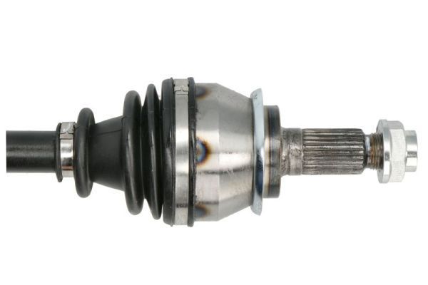 Pusašis PASCAL G2B003PC