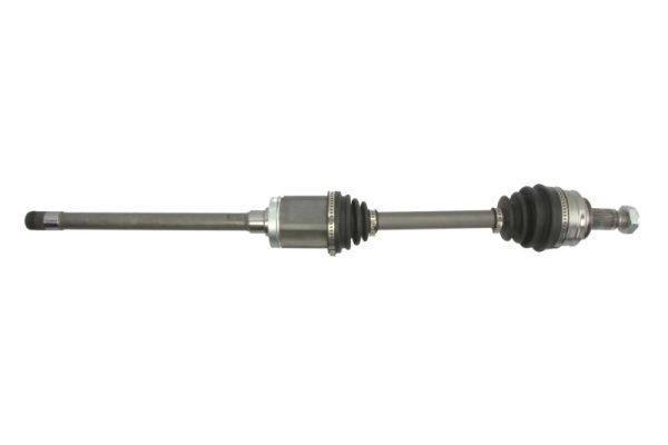 Pusašis PASCAL G2B006PC