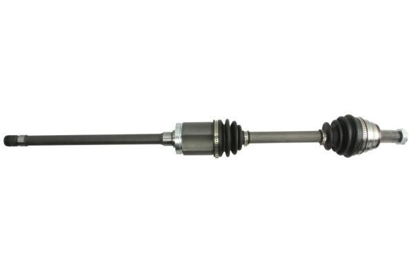 Pusašis PASCAL G2B011PC