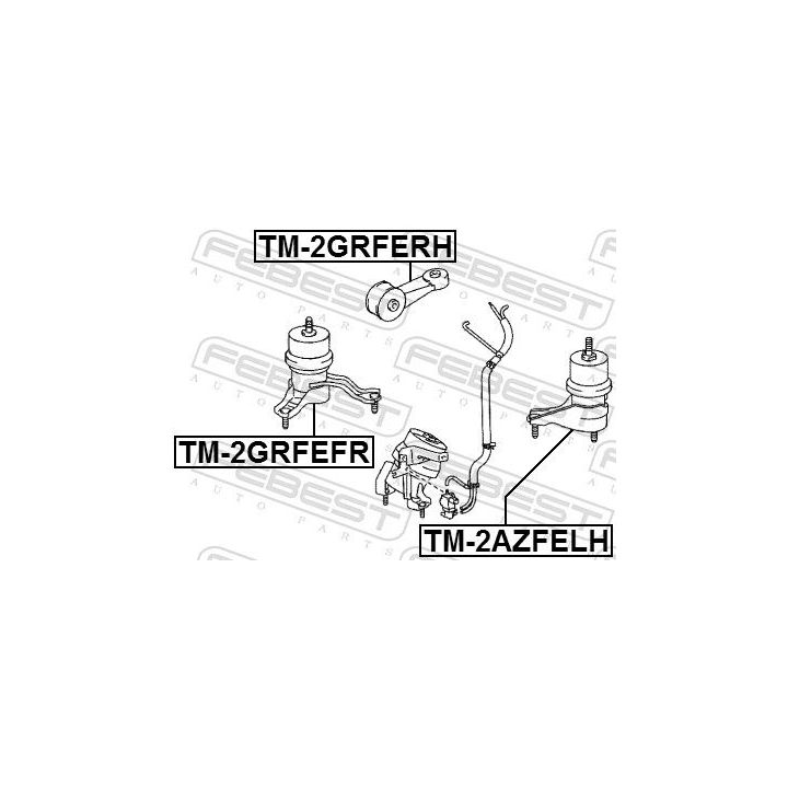 Variklio montavimas FEBEST TM-2GRFERH