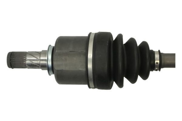 Pusašis PASCAL G2B041PC