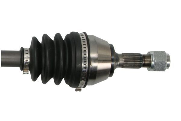 Pusašis PASCAL G2C002PC