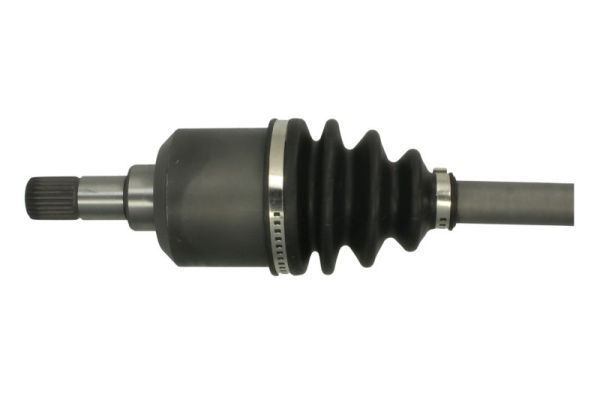 Pusašis PASCAL G2C013PC