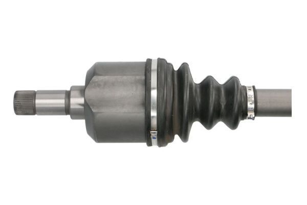 Pusašis PASCAL G2C019PC