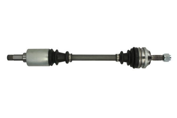Pusašis PASCAL G2C029PC
