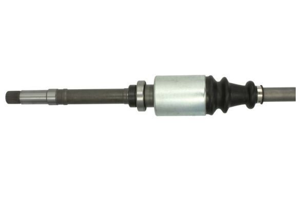 Pusašis PASCAL G2C032PC