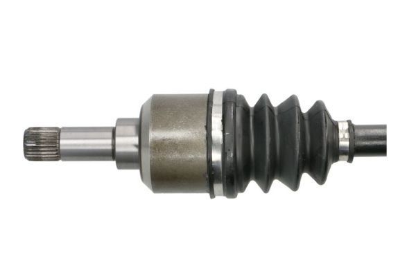 Pusašis PASCAL G2C033PC