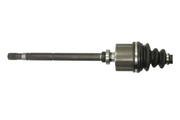 Pusašis PASCAL G2C041PC