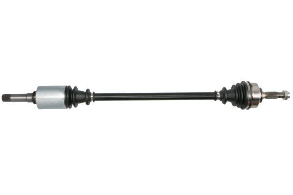 Pusašis PASCAL G2C058PC