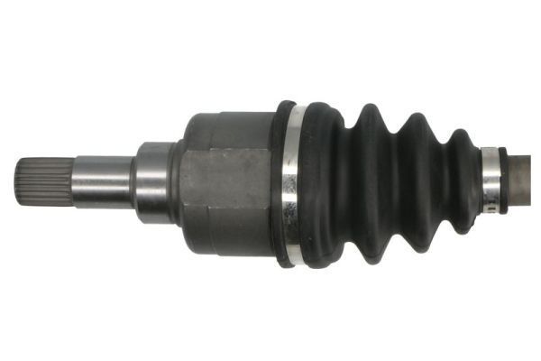 Pusašis PASCAL G2C059PC