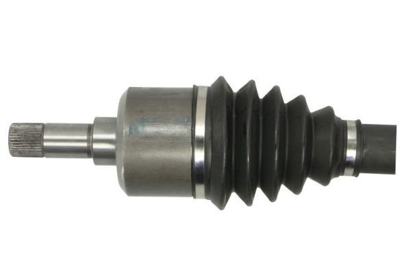 Pusašis PASCAL G2C064PC