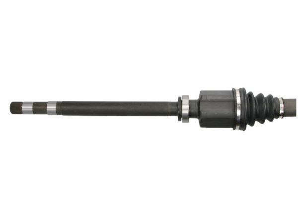 Pusašis PASCAL G2C086PC