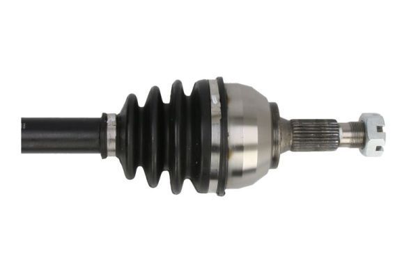 Pusašis PASCAL G2C087PC