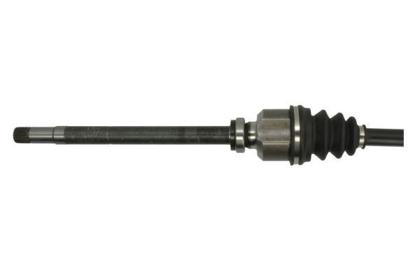 Pusašis PASCAL G2C093PC
