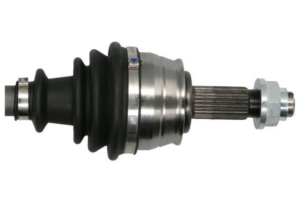 Pusašis PASCAL G2C096PC