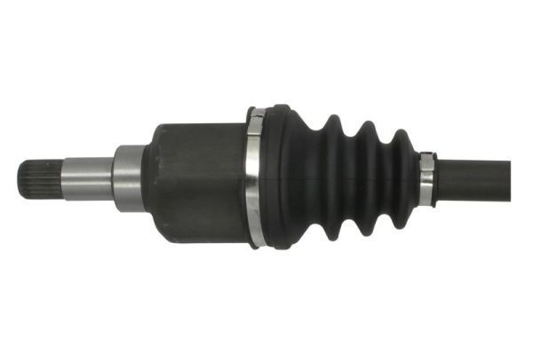 Pusašis PASCAL G2C098PC