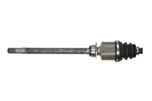Pusašis PASCAL G2C101PC