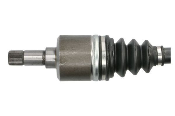 Pusašis PASCAL G2C103PC