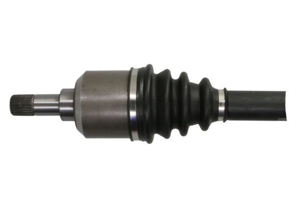 Pusašis PASCAL G2C124PC