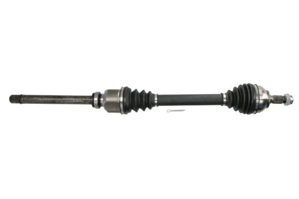 Pusašis PASCAL G2C166PC