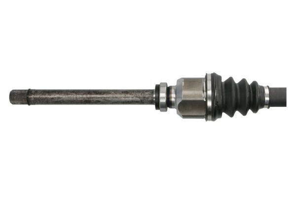 Pusašis PASCAL G2C166PC