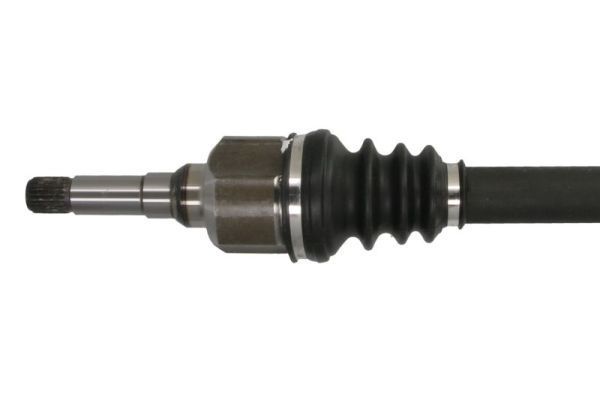 Pusašis PASCAL G2C174PC