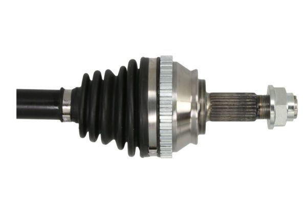 Pusašis PASCAL G2D002PC