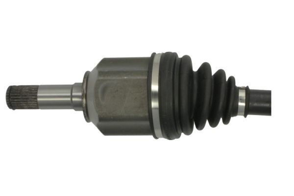 Pusašis PASCAL G2D004PC