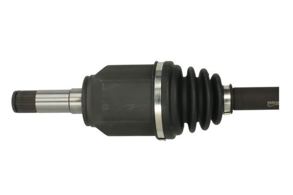 Pusašis PASCAL G2D011PC