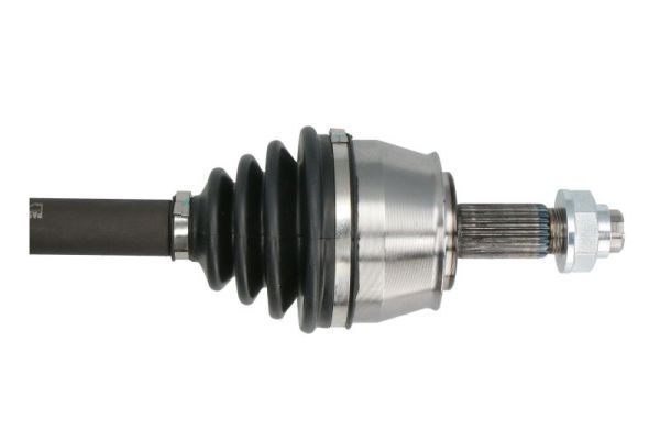 Pusašis PASCAL G2D014PC
