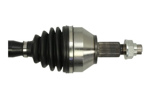 Pusašis PASCAL G2D015PC