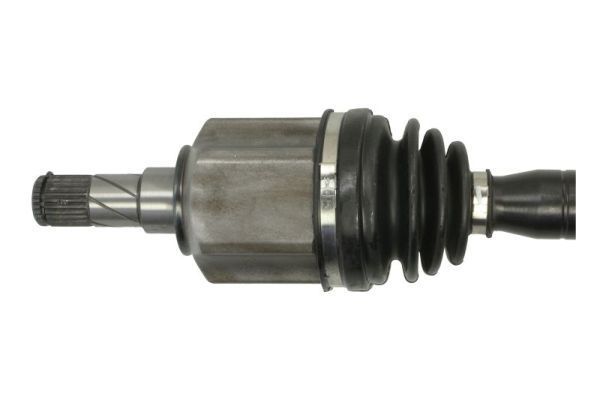 Pusašis PASCAL G2D015PC