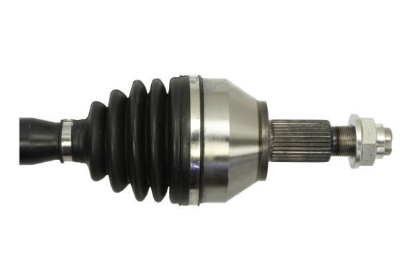 Pusašis PASCAL G2D016PC