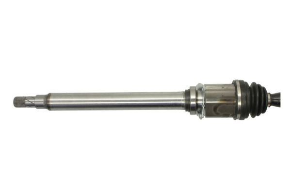 Pusašis PASCAL G2D016PC