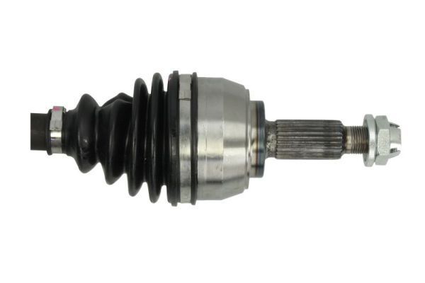 Pusašis PASCAL G2E009PC