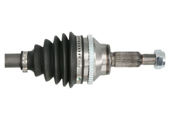 Pusašis PASCAL G2E024PC