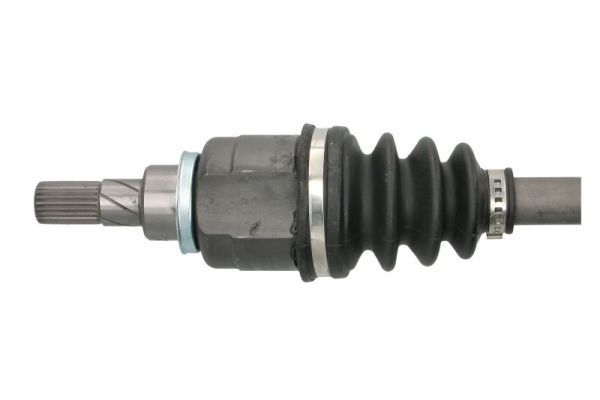 Pusašis PASCAL G2E024PC