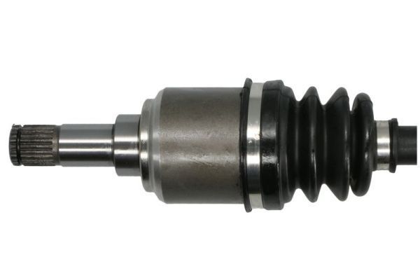 Pusašis PASCAL G2F001PC