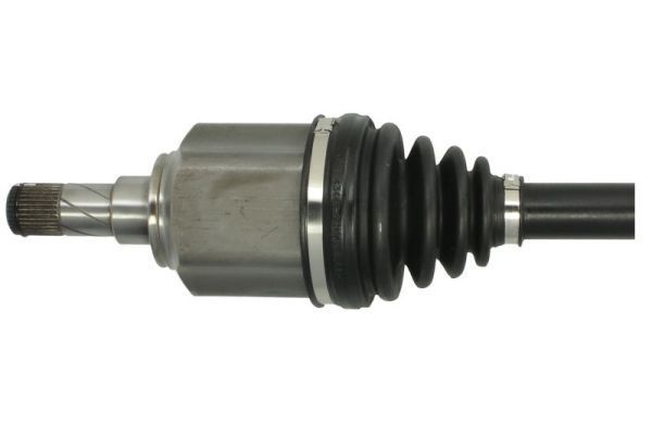 Pusašis PASCAL G2F004PC