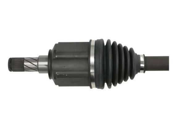 Pusašis PASCAL G2F017PC