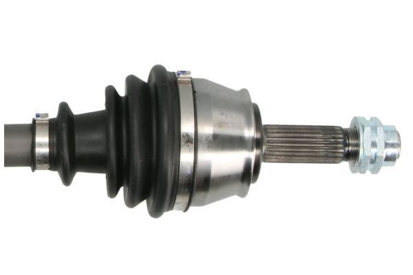 Pusašis PASCAL G2F033PC