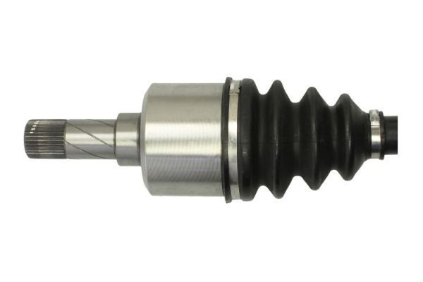 Pusašis PASCAL G2F038PC