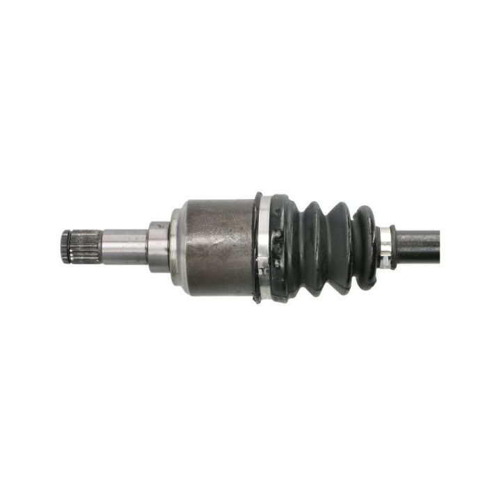 Pusašis PASCAL G2F043PC