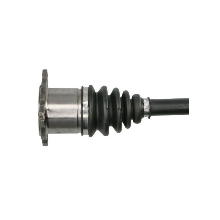 Pusašis PASCAL G2F059PC