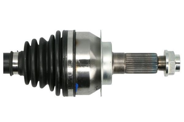 Pusašis PASCAL G2F061PC