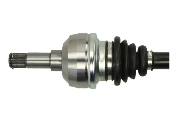 Pusašis PASCAL G2G001PC