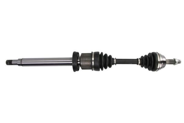 Pusašis PASCAL G2G019PC