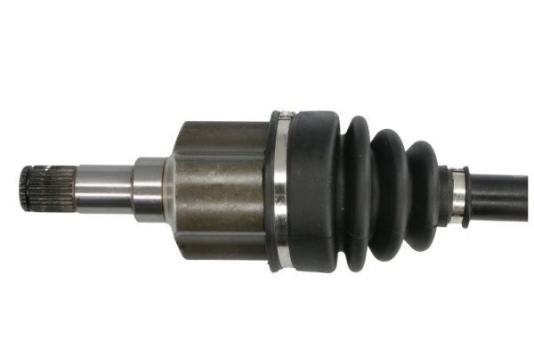 Pusašis PASCAL G2G024PC